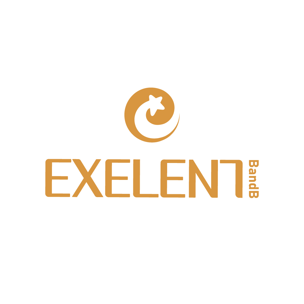 logo exelent