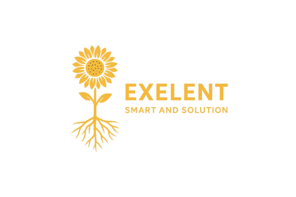 exelent smart and solution lle dielli gerhard dibra